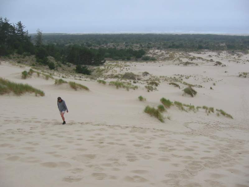 <i><b>230-Oregon Dunes NP</b></i>